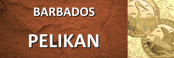 Barbados I Pelikan