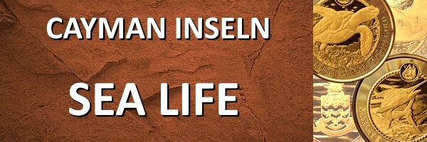 Cayman Inseln I Sea Life