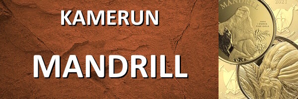 Kamerun I Mandrill