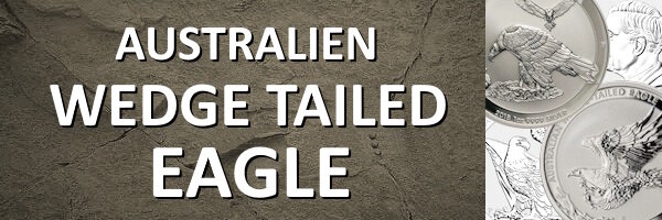 Australien I Wedge Tailed Eagle