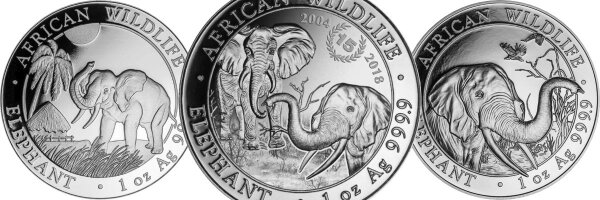 Somalia Elefant
