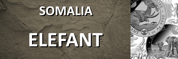 Somalia I Elefant