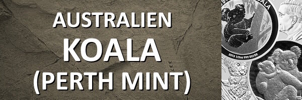 Australien I Koala