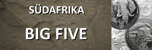 Südafrika I Big Five