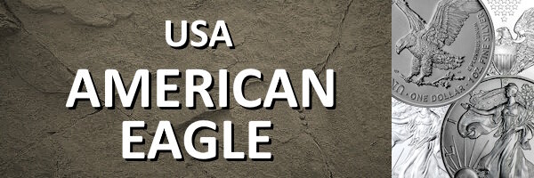 USA I American Eagle