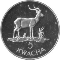 Sambia 5 Kwacha 1979 - Litschi Moorantilope - Silber PP