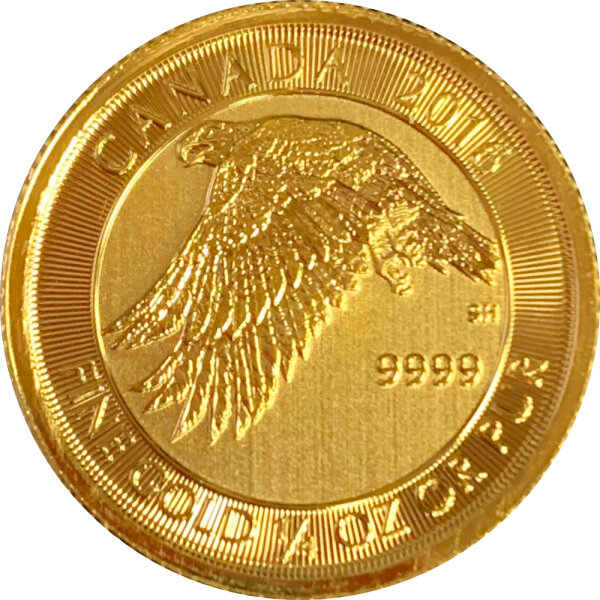 Kanada Schneefalke 2016 1/4 oz Gold