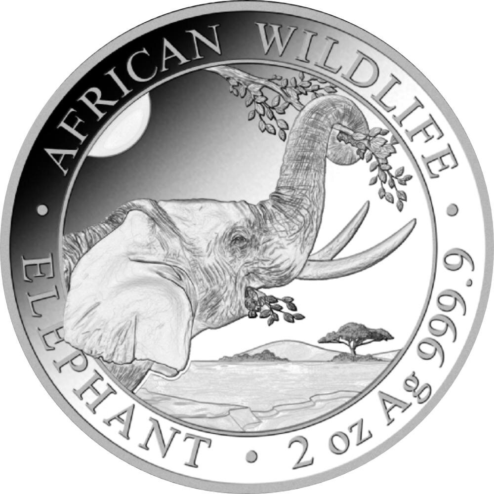 Somalia Elefant 2023 2 oz Silber