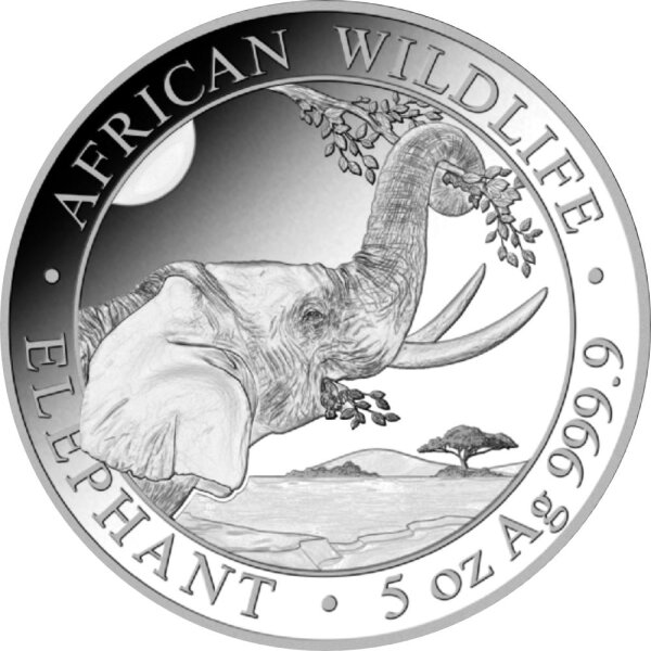 Somalia Elefant 2023 5 oz Silber
