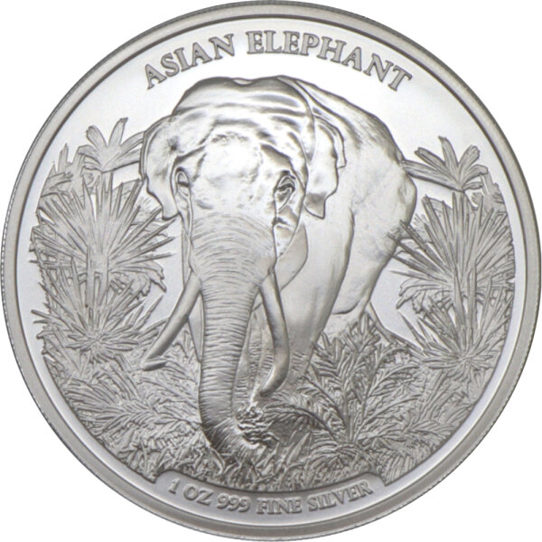 Cambodia Big Five Asian Elefant 1. Ausgabe 2023 1 oz Silber