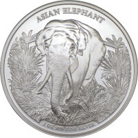 Cambodia Big Five Asian Elefant 1. Ausgabe 2023 1 oz Silber