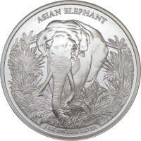Kambodia Big Five Asian Elefant 1. Ausgabe 2023 1 oz Silber