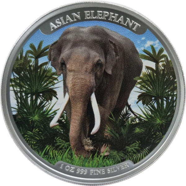 Kambodia Big Five Asian Elefant 1. Ausgabe 2023 1 oz Silber - Farbapplikation