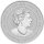 Australien Next Generation 2023 Känguru 2 oz Silber Piedfort