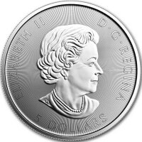 Kanada 150 Jahre Voyageur 2017 1 oz Silber
