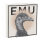 Australien Emu 2023 1 oz Silber | Coloriert