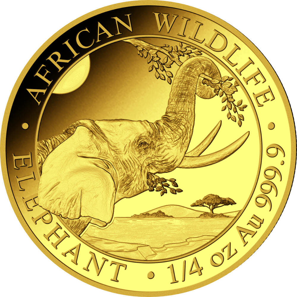 Somalia Elefant 2023 1/4 oz Gold
