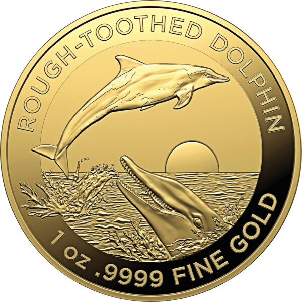 Australien Dolphin 5. Ausgabe Rough-Toothed Dolphin - Rauzahndelfin 2023 1 oz Gold
