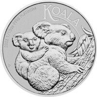 Australien Koala 2023 1/10 oz Platin