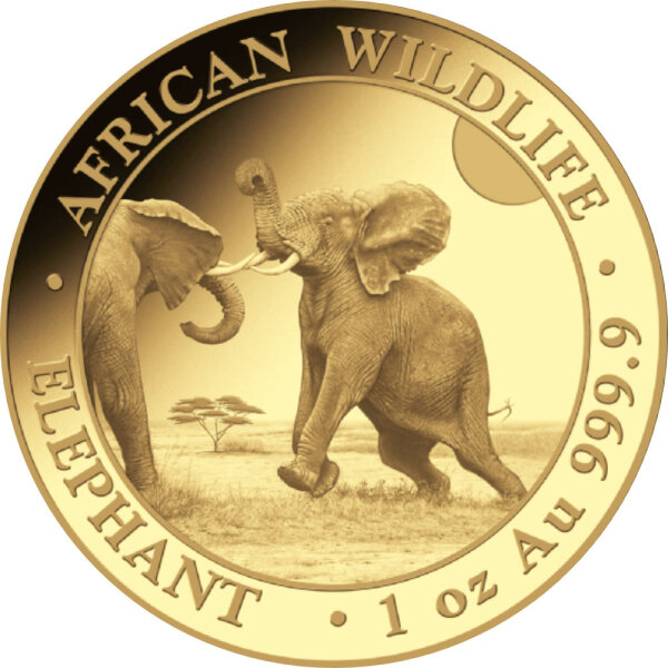Somalia Elefant 2024 1 oz Gold