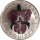 Kuba 5 Pesos 1981 - Kubanische Flora "Orchidee (Orquidea)" - Silber Farbmünze
