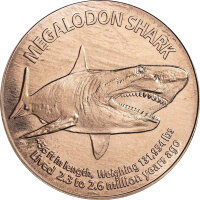 USA Megalodon Shark - Hai 1 AVDP-Unze Kupfer