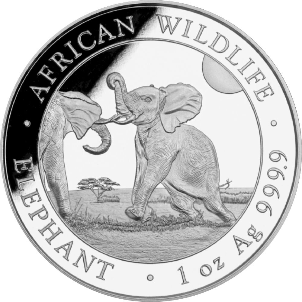 Somalia Elefant 2024 1 oz Silber
