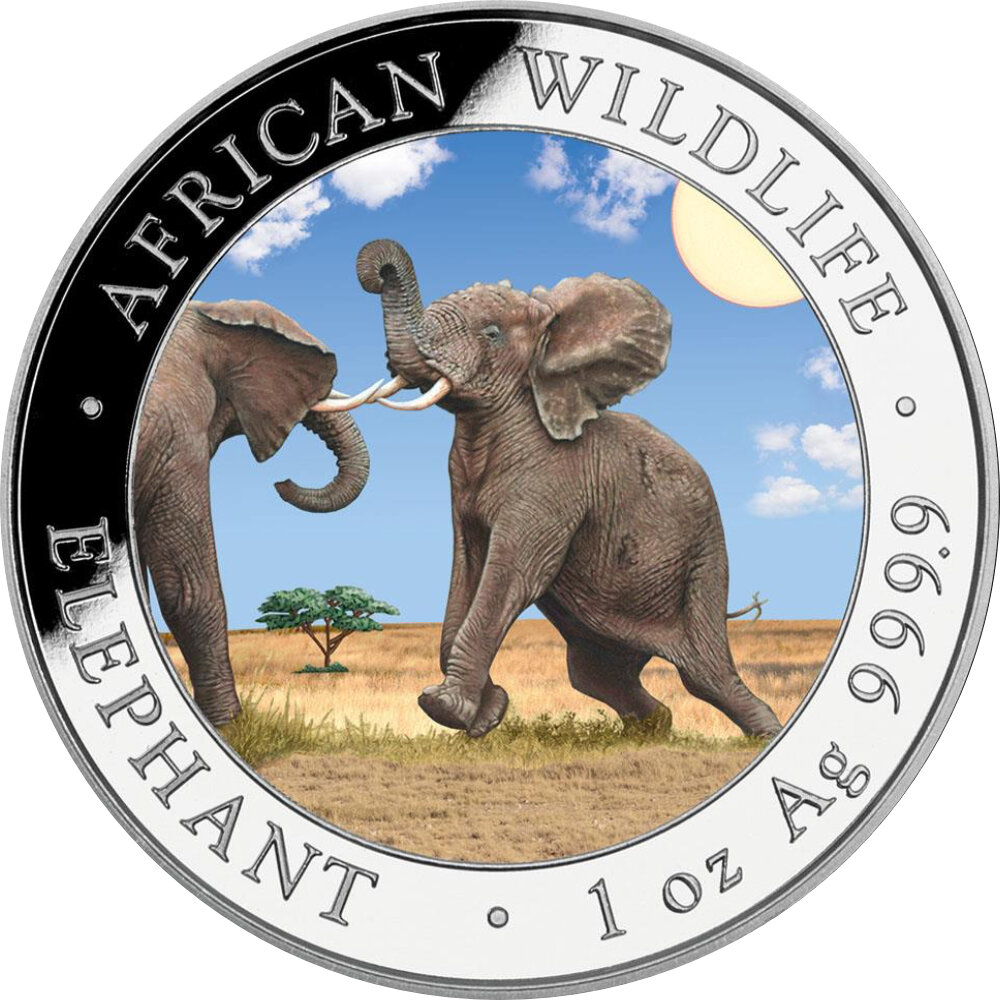 Somalia Elefant 2024 1 oz Silber - Farbapplikation