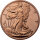 USA Walking Liberty 1 AVDP-Unze Kupfer