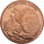 USA Walking Liberty 1 AVDP-Unze Kupfer