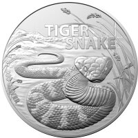 Australien Most Dangerous RAM Tiger Snake - Tigerschlange...
