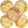 Guinea Big Five 5 x 0,5 Gramm Goldmünzen