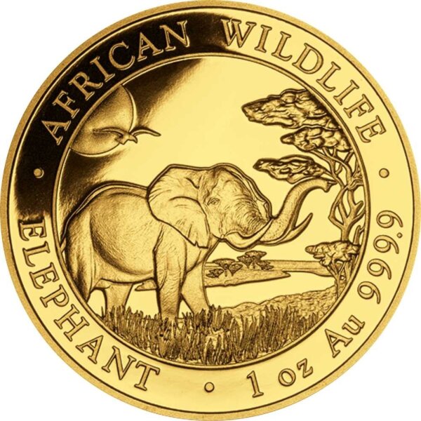 Somalia Elefant 2019 1 oz Gold