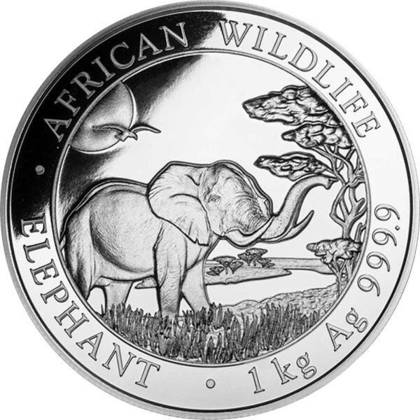 Somalia Elefant 2019 1000 Gramm Silber