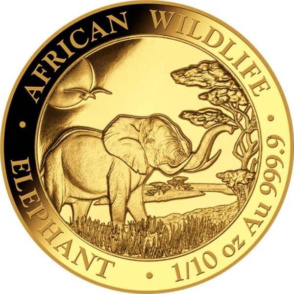 Somalia Elefant 2019 1/10 oz Gold