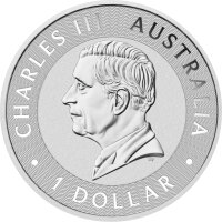 Australien Känguru 2024 1 oz Silber