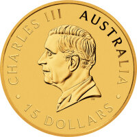Australien Känguru 2024 1/10 oz Gold
