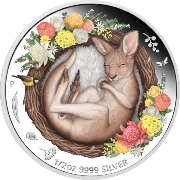 Australien Dreaming Down Under 2021 Känguru 1/2 oz Silber - PP Coloriert