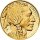 USA American Buffalo 2007 1 oz Gold