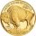 USA American Buffalo 2007 1 oz Gold