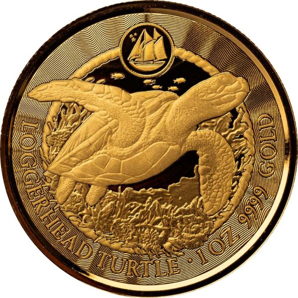 Cayman Inseln Sea Life Loggerhead Turtle - Unechte Karettschildkröte 2023 1 oz Gold