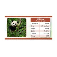 China Panda 2019 30 Gramm Silber - Coloriert