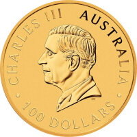 Australien Schwan 2024 1 oz Gold