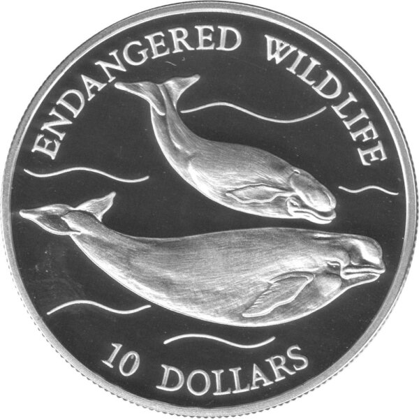 Niue 10 Dollars 1992 - Gefährdete Wildtiere "Weißwale" - Silber PP