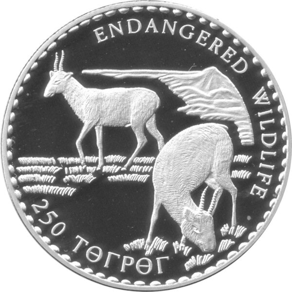 Mongolei 250 Tögrög 1993 - Bedrohte Tierwelt "Saiga Antilope" - Silber PP