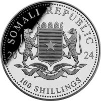 Somalia Leopard 2024 1 oz Silber - Farbapplikation