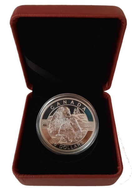Kanada 25 Dollars 2013 - O Kanada "Eisbär" - Silber PP