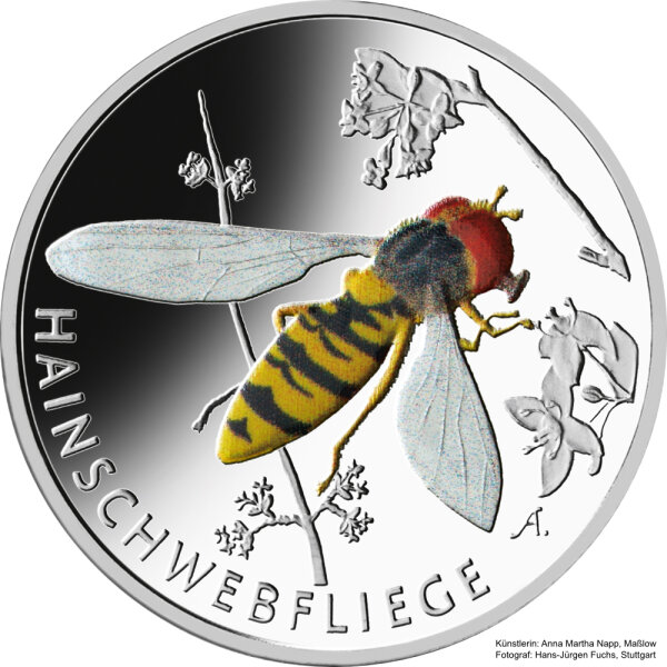 Deutschland 5 Euro Wunderwelt Insekten 7. Ausgabe 2024 Hainschwebfliege F