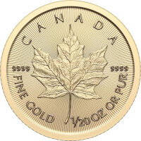 Kanada Maple Leaf 2024 1/20 oz Gold