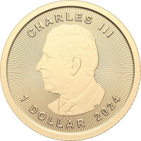 Kanada Maple Leaf 2024 1/20 oz Gold